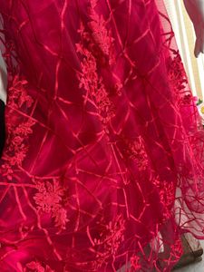 Luxe Organza Lace Embellished Gown