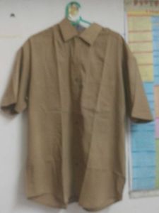 Tan Short Sleeve Button-Down