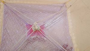 baby mosquito net🐜