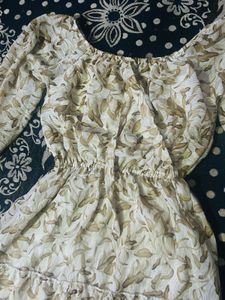 Women Shots  Sheer Brown, Beige Dress