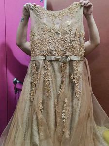 Ethnic Gown