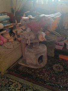 CAT TOWER / TREE