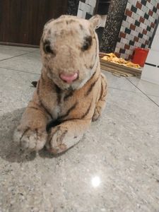 Combo - Tiger  + Tedy Bear + Doll