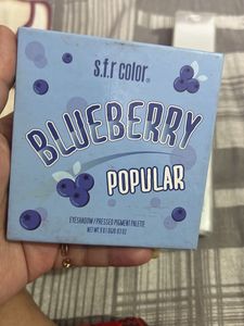 Sfr Color Blueberry Eyeshadow Palette