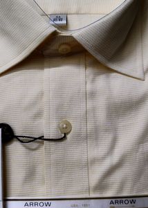 Arrow Premium Collection Formal Cotton Shirt
