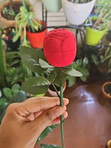 ROSE RING BOX ON SALE