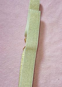Golden Sleek Belt