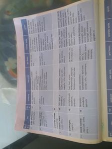 Sanskrit Important Book For 4th Class Very Little