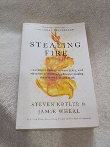 Stealing Fire Book
