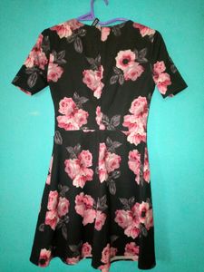 Floral Print Skater Dress