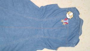 Vintage Denim Mini Dress