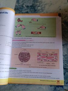Class 9 - SCIENCE LAB MANUAL