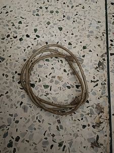 Lan Cables