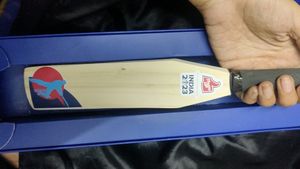 Miniature Bat With Frame