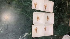 Elegant Floral Divided Dish