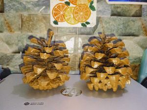 Natural Pine Cones New ( Fresh )Set Of 3