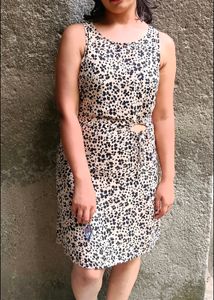 Zebra Print Dress New Ginger By Lifestyle