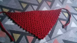 Woolen Handmade Crochet. Scarf