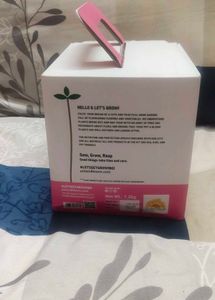 natural Cosmos Flower Grow Kit