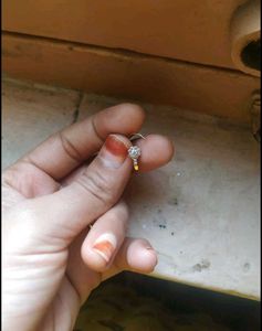 Nose Pin