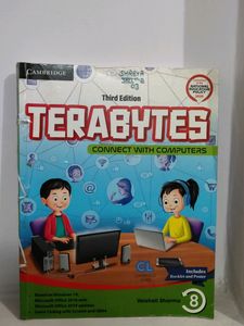 Terabytes Connect With Computers