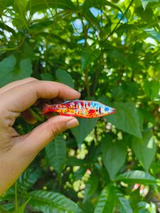 Handmade Clay Fish Magnets