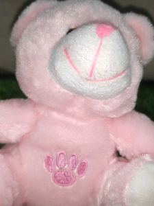 Sweet Mini Teddy