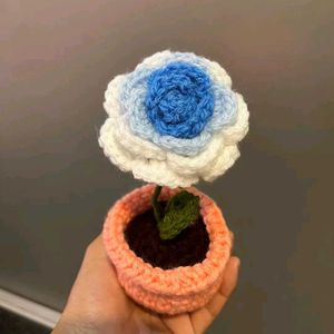 Chrochet Flower Pot