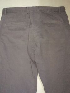 Pant