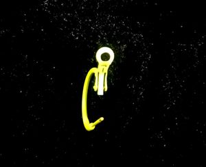 Neon Yellow and Blue Hoop Earrings