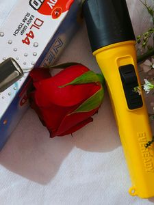 Eveready Torch