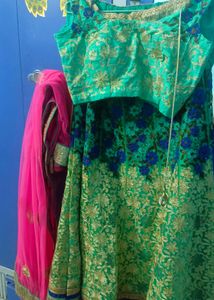 Embroidered Lehenga Choli