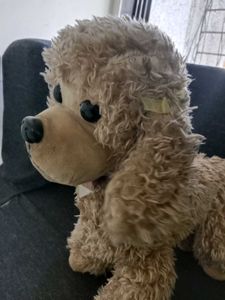 Cute Poodle Plush Toy