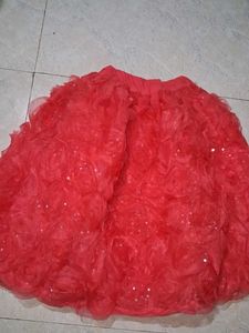 Peach organza skirt with rose floral Design