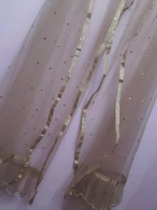 Organza And Net Dupatta