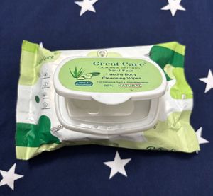 Great Care Cleansing Wipes