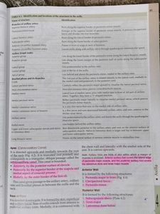 Human Anatomy Textbook with free workbook