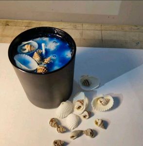 Seashell Candle