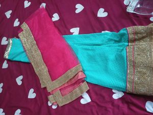 Net Choli