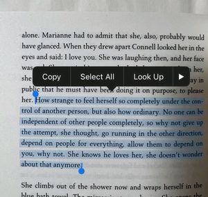 Normal People by Sally Rooney