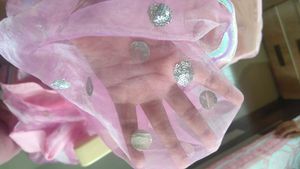 Pink Embellished saree