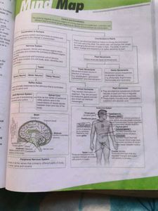 All In One Science CBSE Class 10