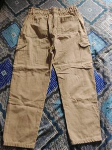Beige Casual Pants