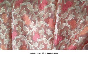 Peach Organza Brasso Saree