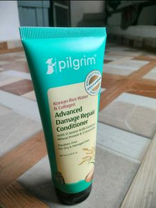 Pilgrim Conditioner