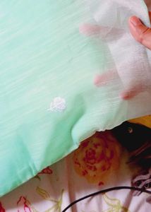 Mint Embroidered Fabric