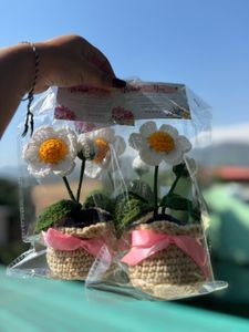 Crochet Daisy in Pot