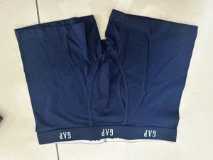 GAP Blue Briefs
