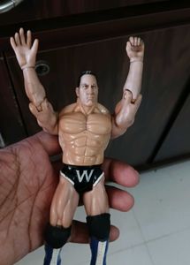WWE Action Figures (3)