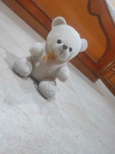 White Colour Teddy Bear